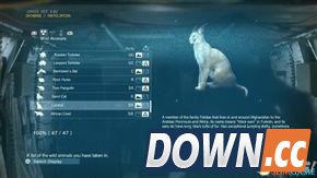 合金装备5：幻痛 全动物收集攻略 怎么收集全部动物