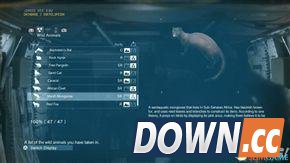 合金装备5：幻痛 全动物收集攻略 怎么收集全部动物