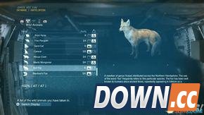 合金装备5：幻痛 全动物收集攻略 怎么收集全部动物