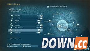 合金装备5：幻痛 全动物收集攻略 怎么收集全部动物