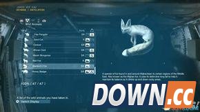 合金装备5：幻痛 全动物收集攻略 怎么收集全部动物