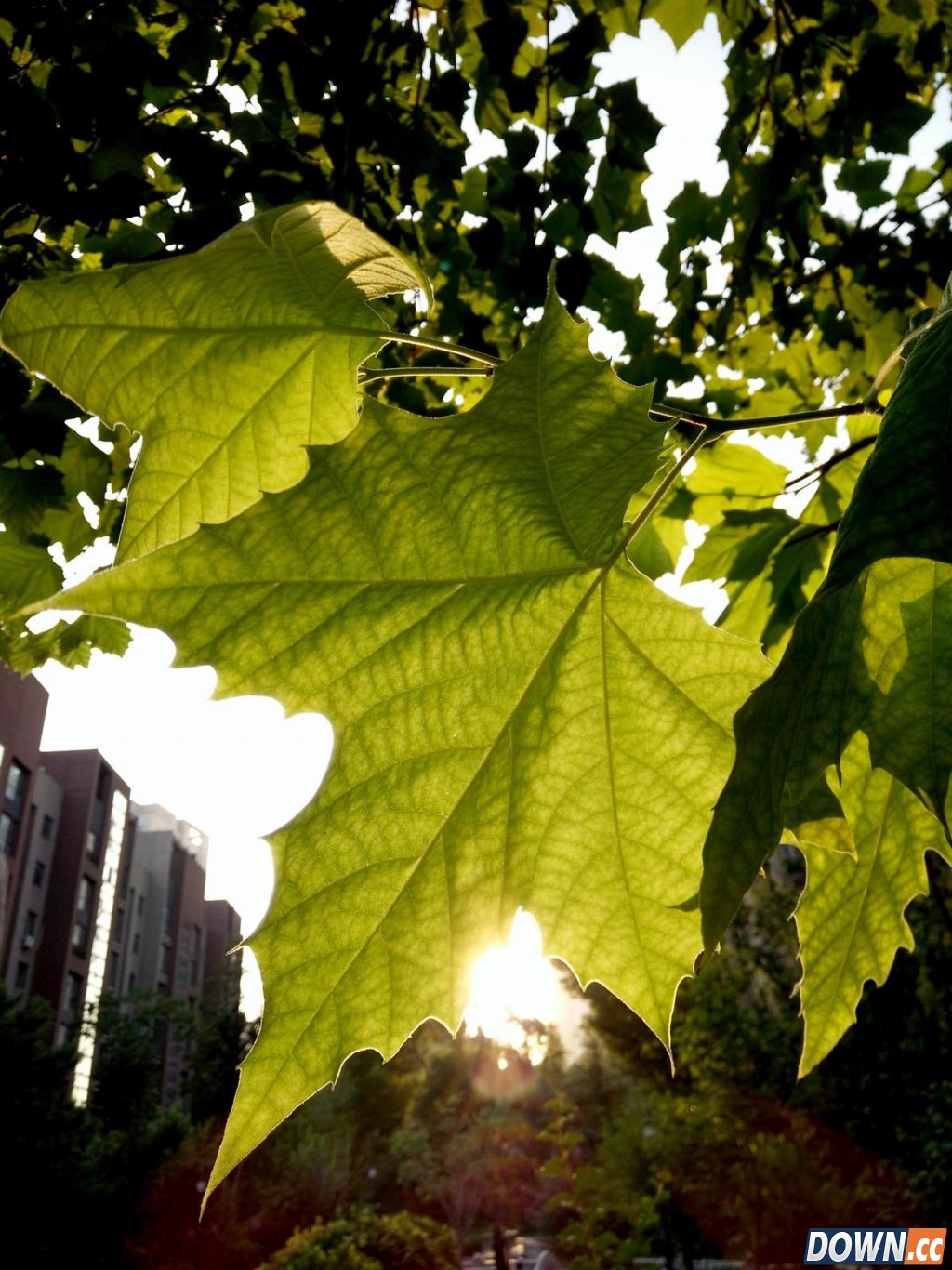 华为mate s上手体验测评