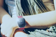 paywatch怎么用 支付表使用教程