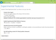 Flags自定义IE11浏览器的User Agent