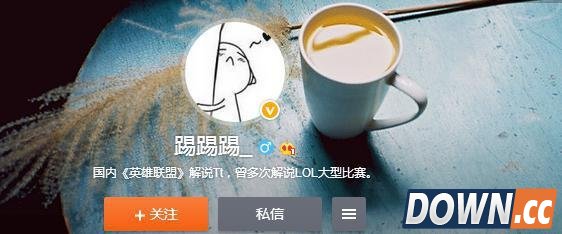 TT被取消S5解说资格