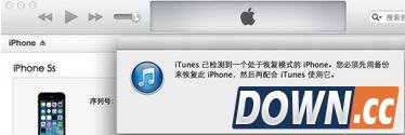 iPhone界面出现白图标、白苹果怎么办