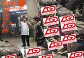LOL贴吧近期“日常黑LGD”爆笑段子 看完简直醉了