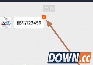 支付宝阅后即焚怎么用
