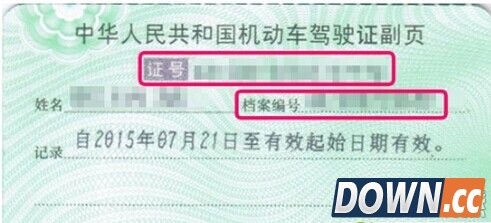 支付宝怎么查违章记录