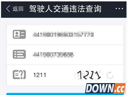 支付宝怎么查违章记录