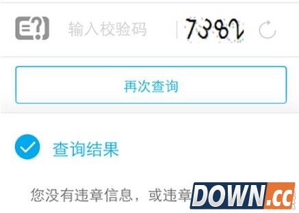 支付宝怎么查违章记录