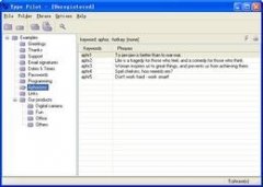 Type Pilot（资料快速输入工具）V3.0.6.0官方版