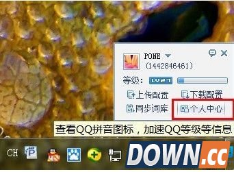 QQ怎么点亮拼音输入法图标