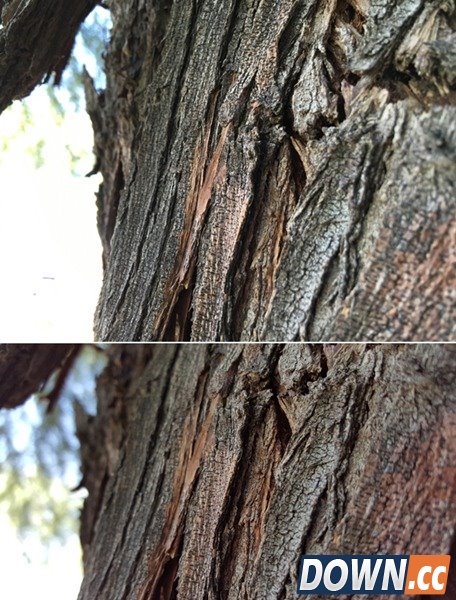 iPhone6s plus与三星Note5拍照对比