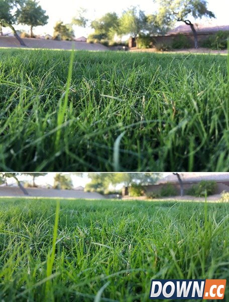 iPhone6s plus与三星Note5拍照对比