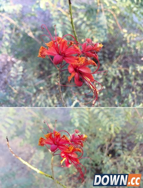 iPhone6s plus与三星Note5拍照对比