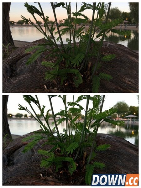 iPhone6s plus与三星Note5拍照对比