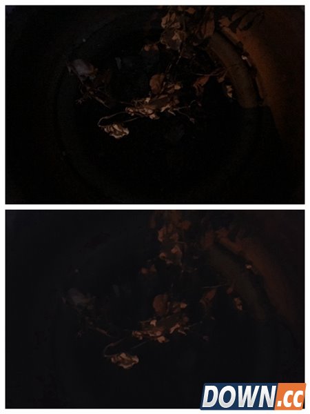 iPhone6s plus与三星Note5拍照对比