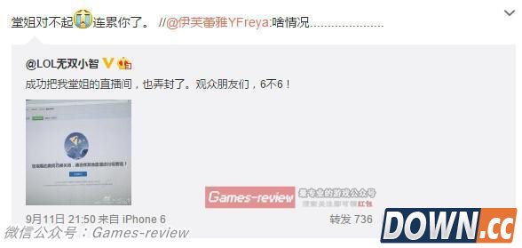 小智熊猫TV什么时候开始直播