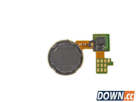 Nexus 5X拆机图解