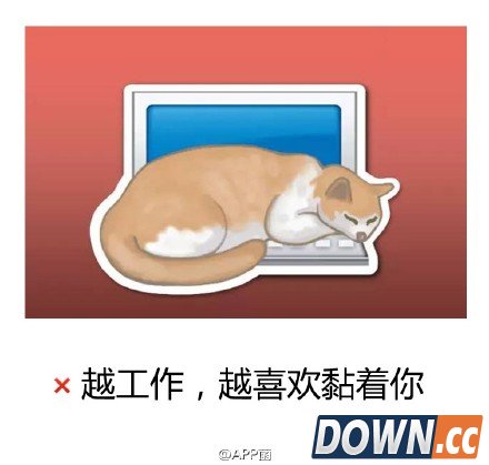 emoji猫奴表情套图