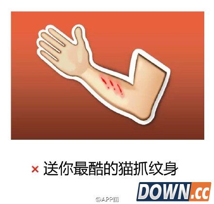 emoji猫奴表情套图