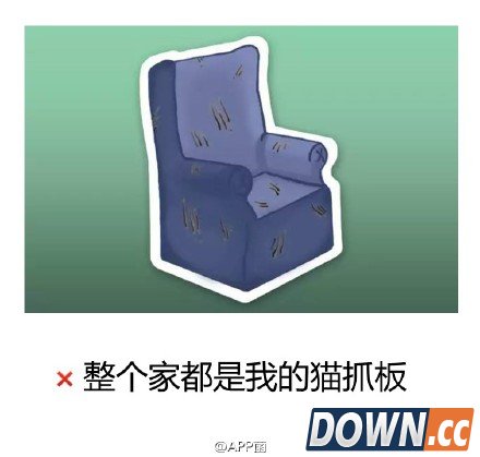 emoji猫奴表情套图