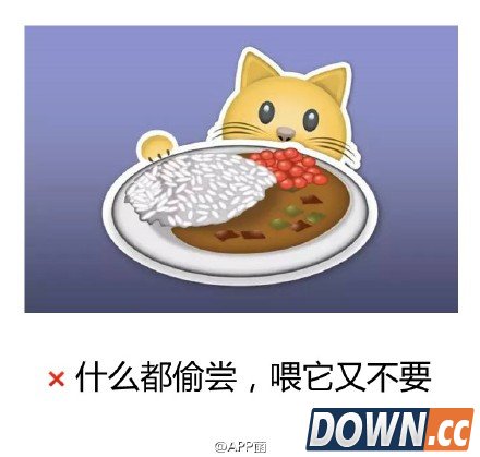 emoji猫奴表情套图