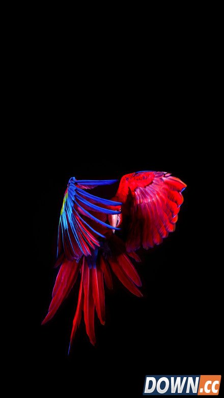 一加X内置高清无水印壁纸下载地址