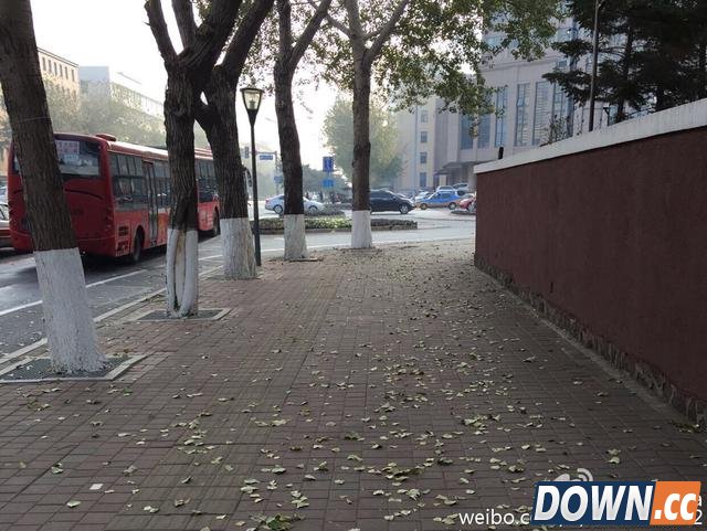 电竞汪精卫Tabe女友诉苦