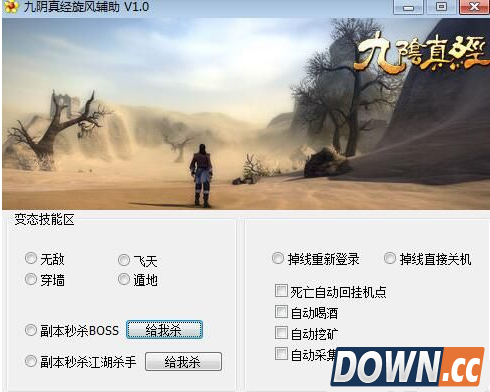 九阴真经辅助软件