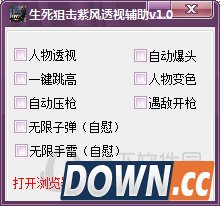 生死狙击紫风透视辅助