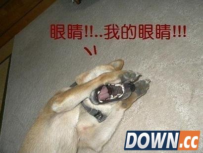 lol男枪平A屏幕闪光bug