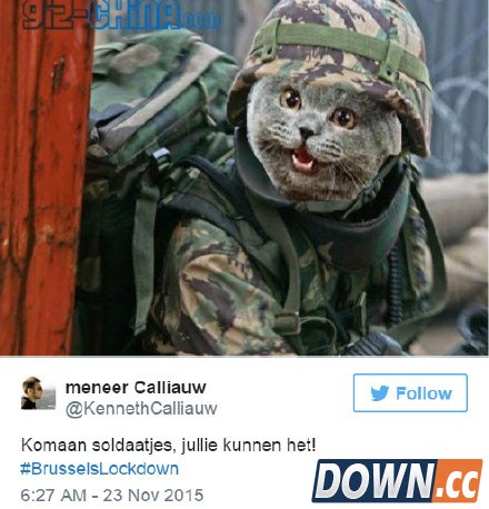 喵星人成比利时推特反恐主角