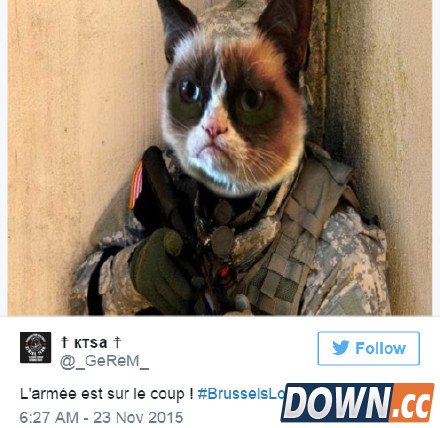 喵星人成比利时推特反恐主角