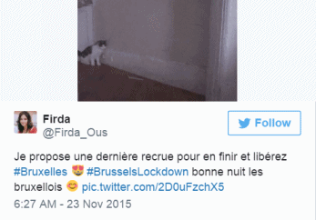 喵星人成比利时推特反恐主角