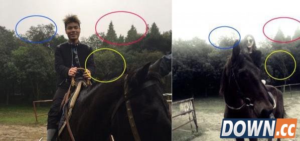 大哥被小苍质问骑马事件