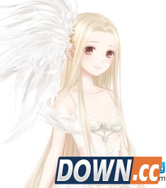 奇迹暖暖维密套装