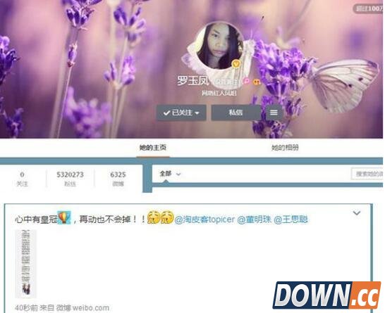 凤姐自称天使投资人投资吵架APP