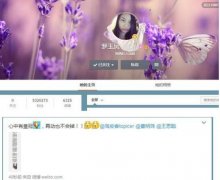 凤姐宣布投资吵架应用app 微博自称天使