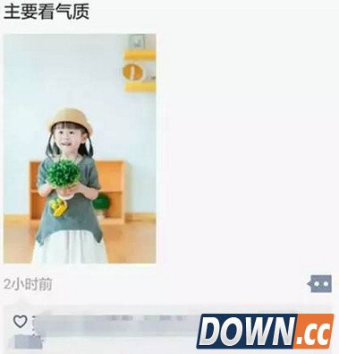 “主要看气质”为什么会爆红