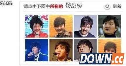 12306奇葩验证码大收集