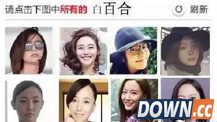 12306奇葩验证码大收集