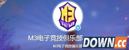 lolS6中国战队前景分析