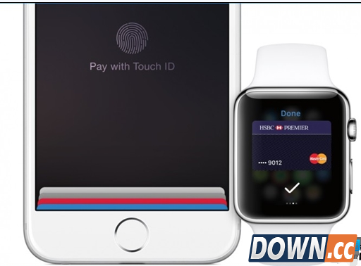 Apple Pay