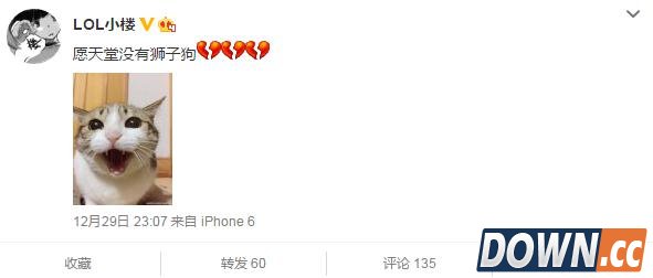 lol主播小楼妹子也被狮子狗逼疯了