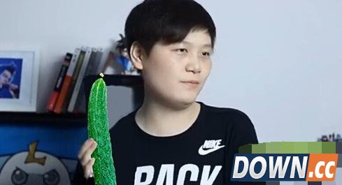 lol2015年度主播盘点