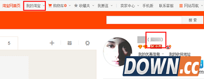 淘宝支付宝查询