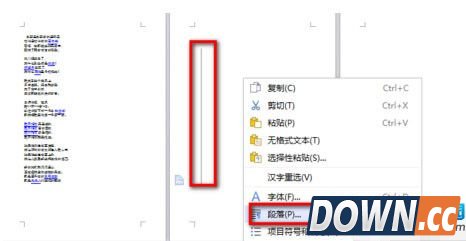 WPS删除空白页面