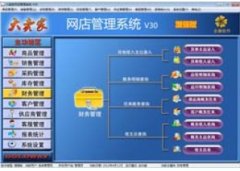 金薇大卖家新一代网店进销存软件 V1.0.0.0 官方版